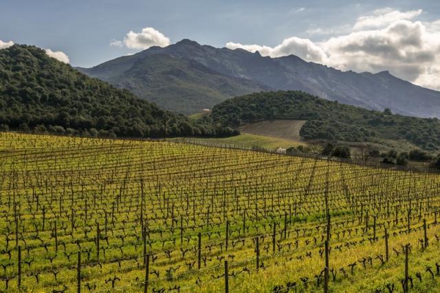 Terra Bella 8 jours